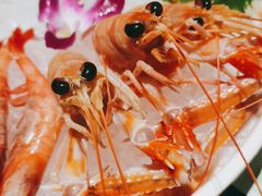 鳌虾-黑松白鹿(崇文门新活馆店)