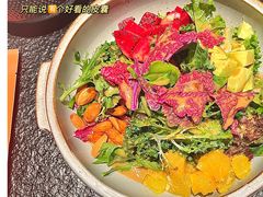 牛油果蔬菜沙拉-啫胜(西城红场店)