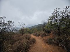 -阳台山森林公园