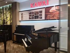 -柏斯琴行(汾阳店)