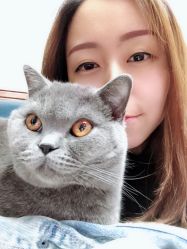 -HQ半永久纹绣纹眉
