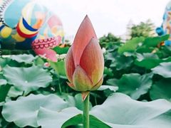 -龙环葡韵住宅式博物馆