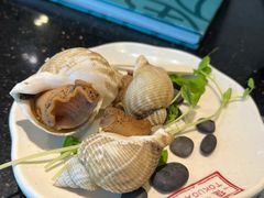 冰岛翡翠螺-德川家日本料理(中关村寰太大厦店)