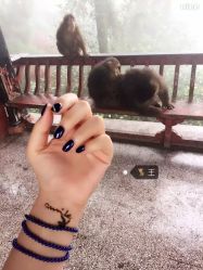 -XTATTOO海娜手绘