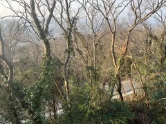 -大蜀山国家森林公园