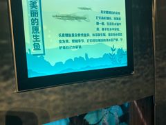 -合肥海洋世界