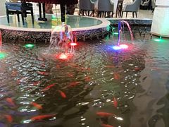 -碧中海汤泉汗蒸酒店