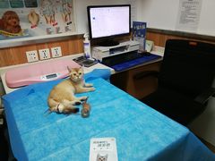-宠福鑫动物医院(城北分院)