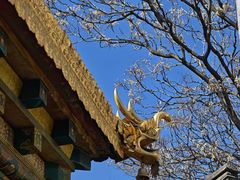 -护国法轮寺