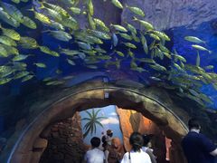 -华夏文旅海洋公园