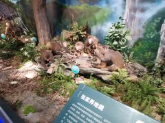 -湖南省地质博物馆