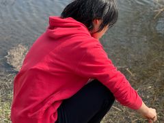 -长田漾湿地公园