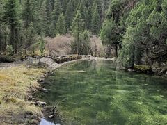 -白马王朗自然风景区