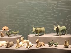 -广西壮族自治区博物馆