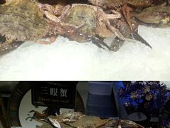 -加餐海鲜自助(宝龙一城店)