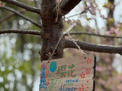 -同里国家湿地公园