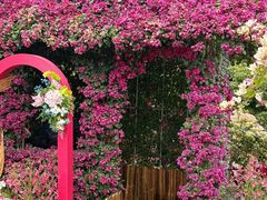 -东莞植物园