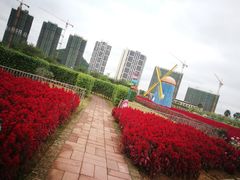 -爱丽丝仙境花海