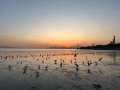 -深圳湾公园(南山区)