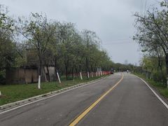 -广东花都湖国家湿地公园