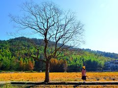 -塔川景区