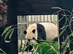 -石家庄市动物园