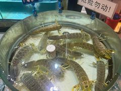-强记海鲜·大排档(蛇口新街店)
