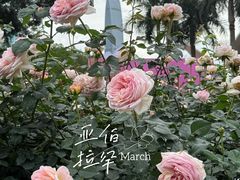 -人民公园(罗湖区)