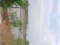 -蒲河岛湿地公园