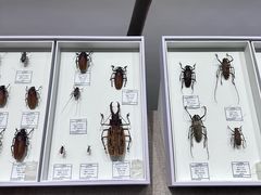 -烟台市博物馆