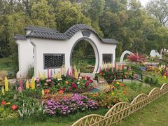 -上海共青森林公园