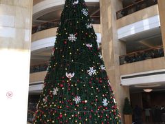 -成都天府丽都喜来登饭店