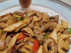 -丁老爷子苏香圆