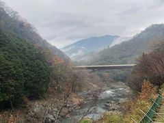 -岚山嵯峨野观光小火车