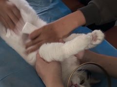 -美迦爱-牙专科·兔科·骨科诊疗中心(北苑店)