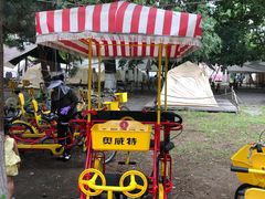 -长白岛森林公园