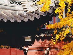 -上海白云观