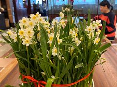 -湖畔居茶楼(湖滨店)