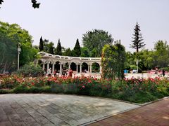 -睦南公园