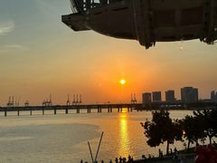 -宝安西湾红树林湿地公园