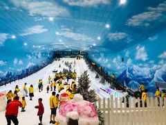 -世界之窗阿尔卑斯冰雪世界