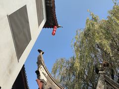 -七宝古镇