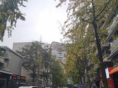 -泡桐树街