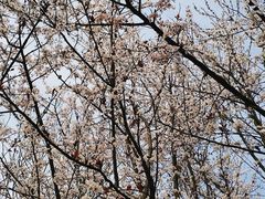 -上海海事大学(临港校区)