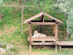 -石家庄市动物园