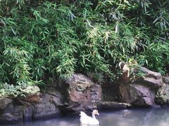 -兰亭风景区