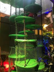 -恐龙探索乐园(磁器口店)