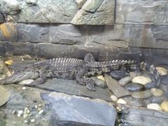 -上海昆虫博物馆