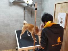-Double Rui宠物酒店