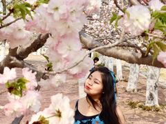 -济南国际园博园